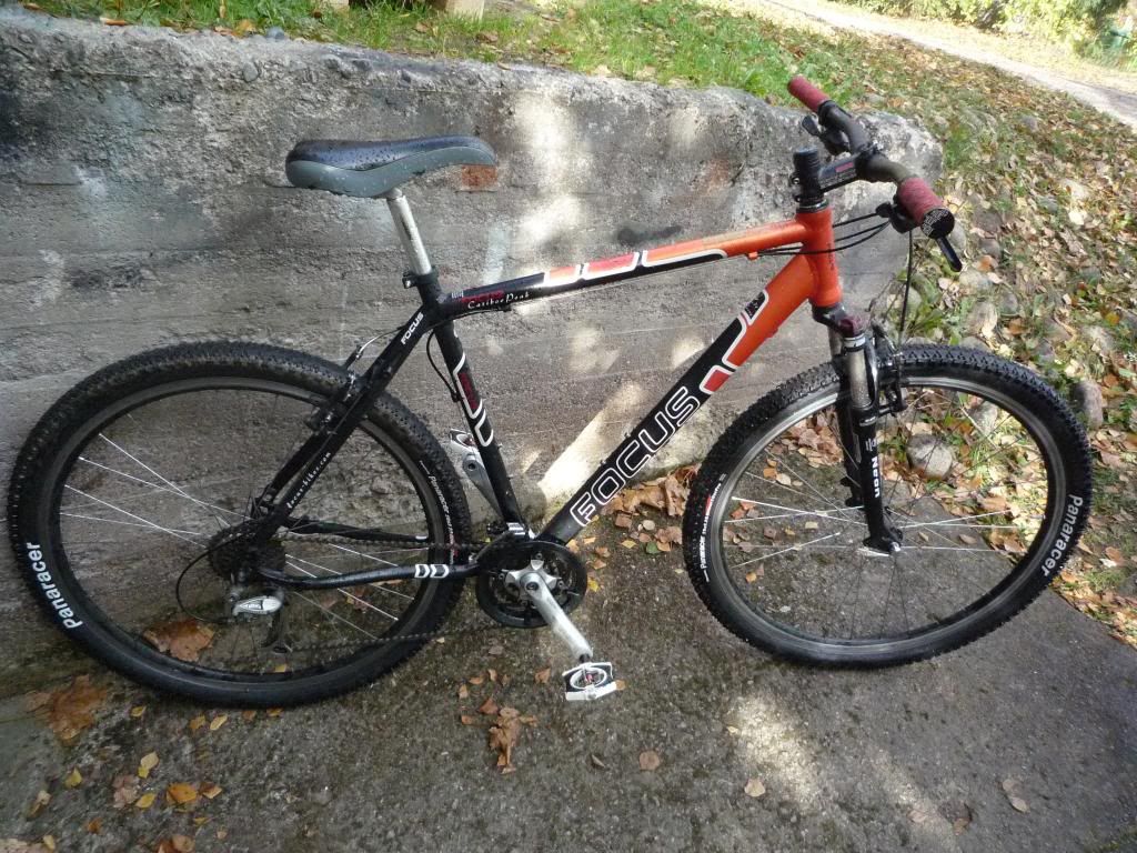 mtb.jpg