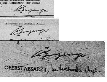 Enzingersignatures.jpg