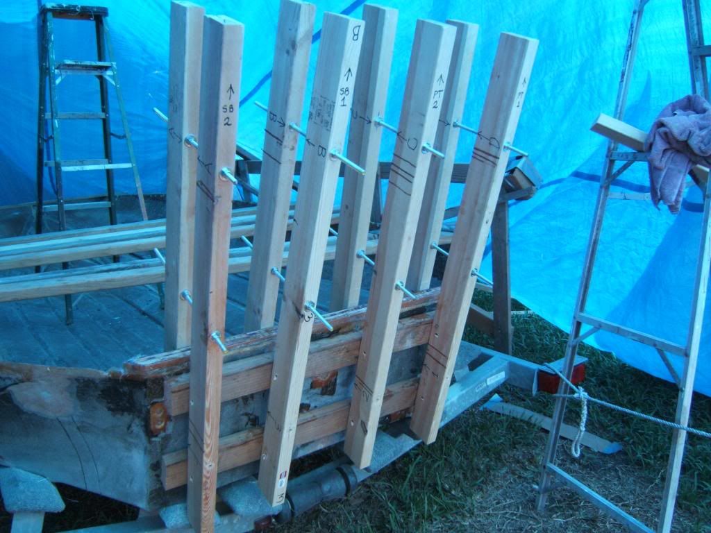 DSCF1668.jpg