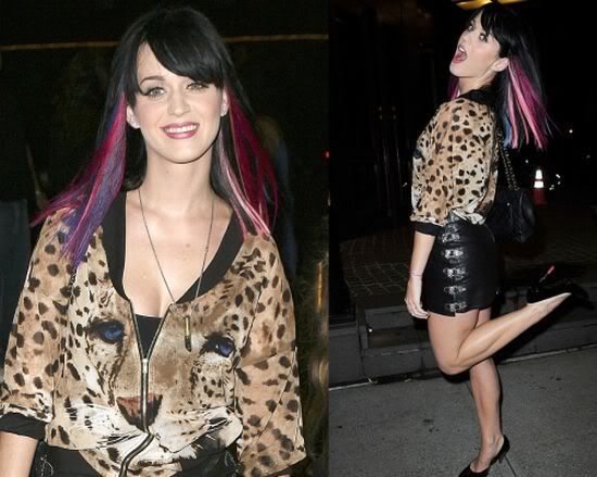 colored-hairs-of-katy-09