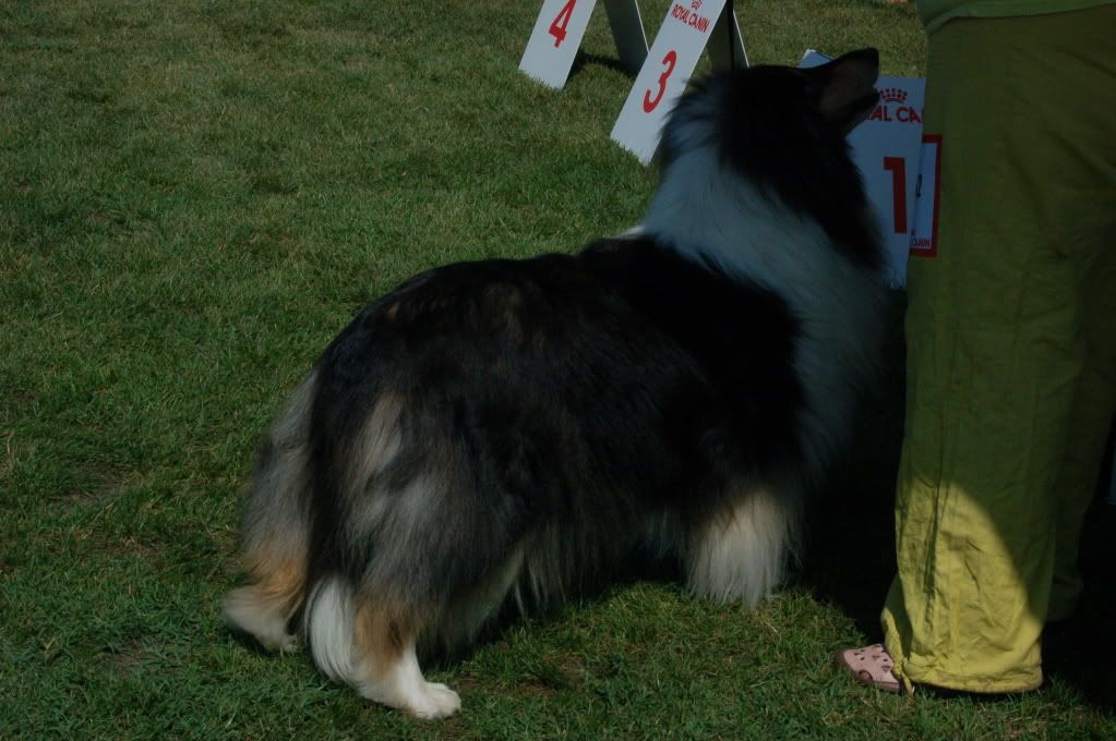 DSC_4267.jpg