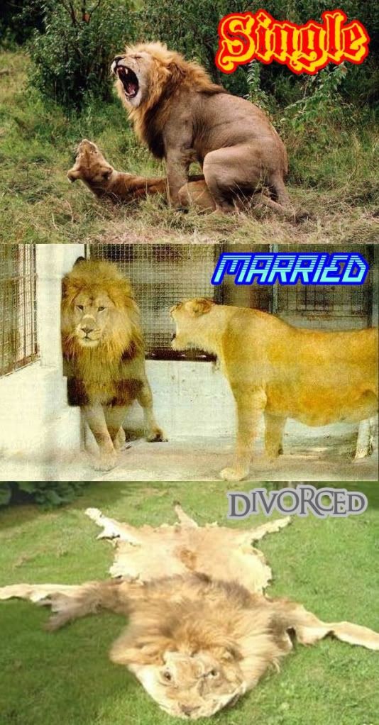 SingleMarriedDivorcedText.jpg