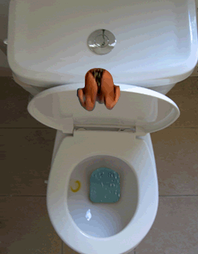 ToiletDive.gif