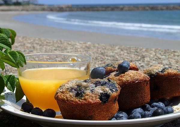 Blueberry-Oatmeal-Muffins.jpg