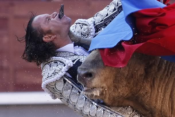 bullfighter-gored.jpg