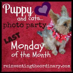 PuppyButton