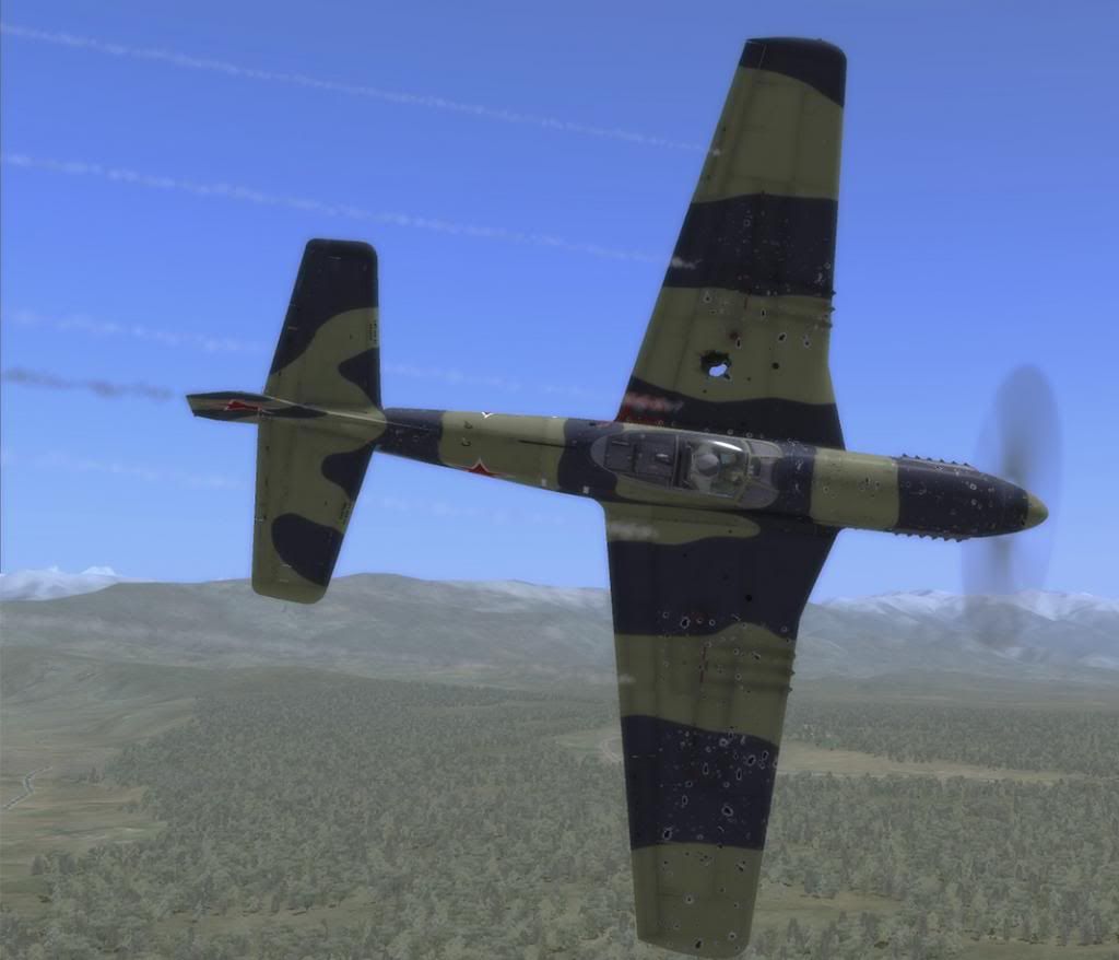 AI_P-51D_Damage_zps812aacdc.jpg