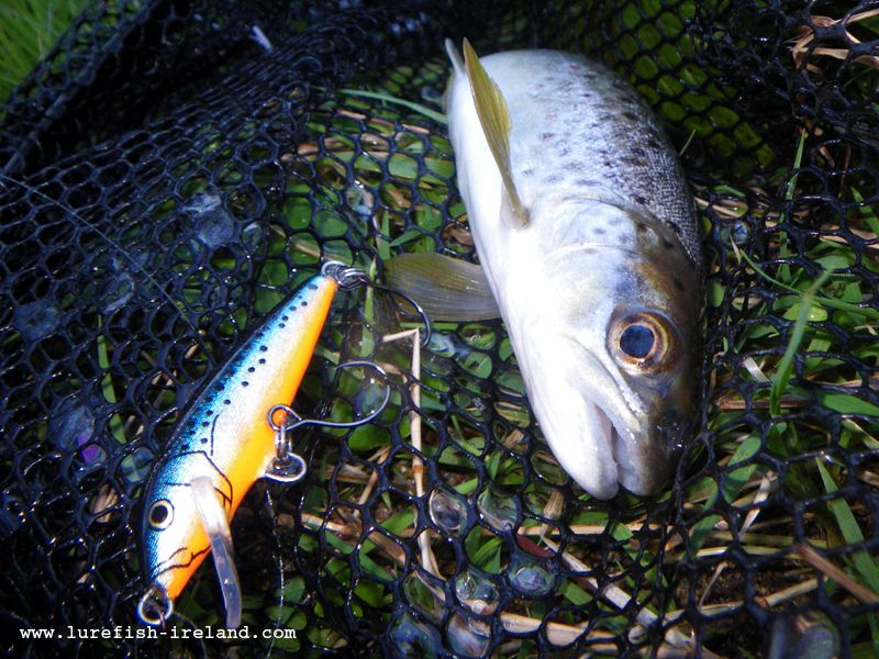 All sorts of Trout... Lurefish Ireland