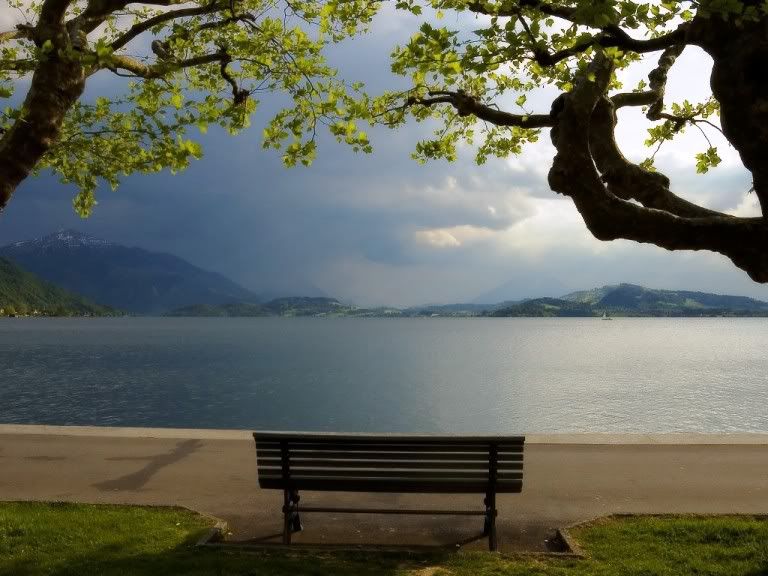 Lonely Bench