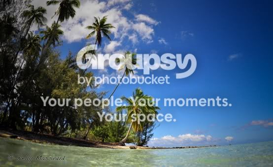 http://i1182.photobucket.com/albums/x449/Miss_Nelly_M/DSC_0115.jpg