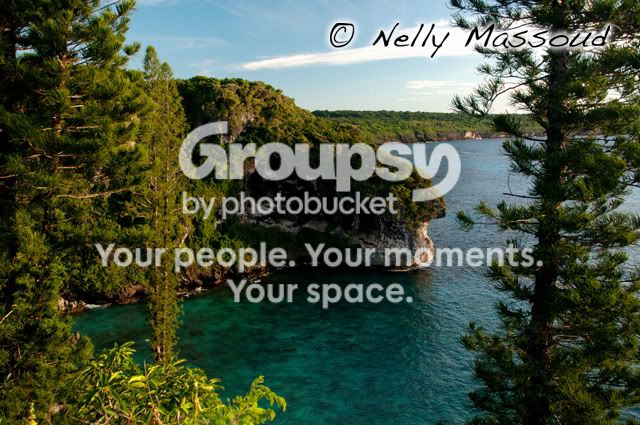 http://i1182.photobucket.com/albums/x449/Miss_Nelly_M/_DSC0013-2.jpg