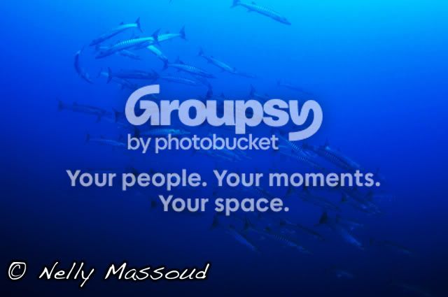 http://i1182.photobucket.com/albums/x449/Miss_Nelly_M/_DSC0014copie.jpg