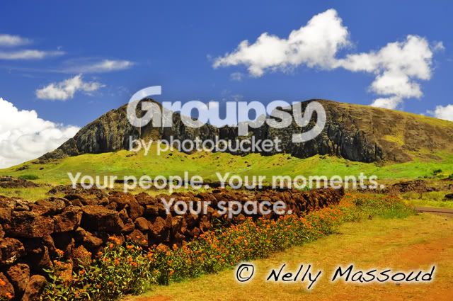 http://i1182.photobucket.com/albums/x449/Miss_Nelly_M/_DSC0046.jpg