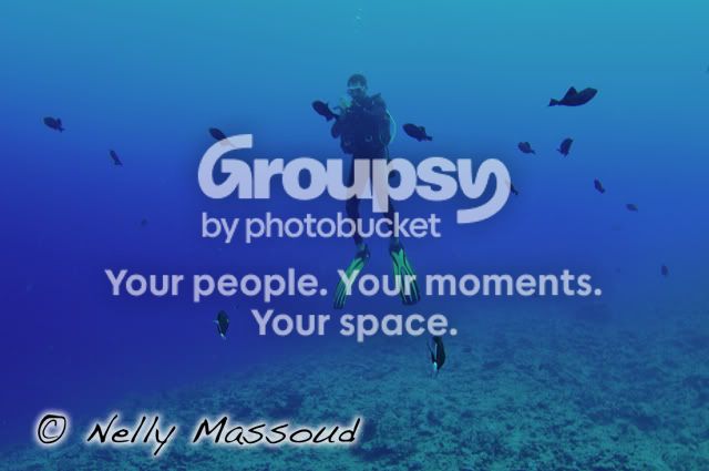 http://i1182.photobucket.com/albums/x449/Miss_Nelly_M/_DSC0091copie.jpg