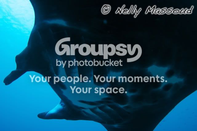 http://i1182.photobucket.com/albums/x449/Miss_Nelly_M/_DSC0109-1.jpg