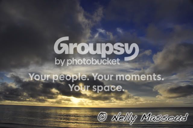 http://i1182.photobucket.com/albums/x449/Miss_Nelly_M/_DSC0135.jpg