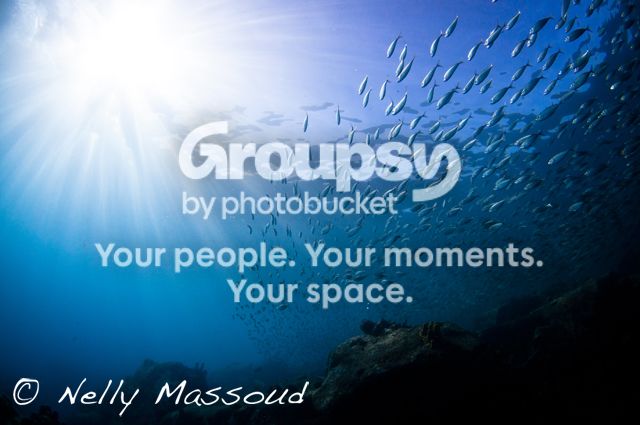 http://i1182.photobucket.com/albums/x449/Miss_Nelly_M/_DSC0141-2_zpsdb7e8b5d.jpg