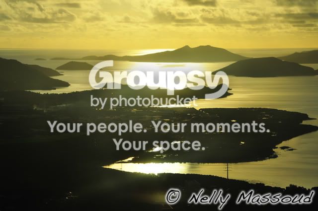 http://i1182.photobucket.com/albums/x449/Miss_Nelly_M/_DSC0173.jpg