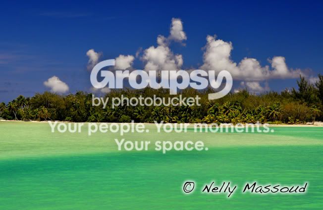 http://i1182.photobucket.com/albums/x449/Miss_Nelly_M/_DSC0186.jpg