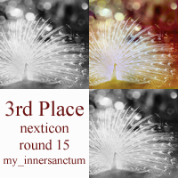 Next Icon Round 15 3rd Place