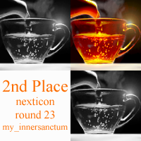 Next Icon Round 23 2nd Place