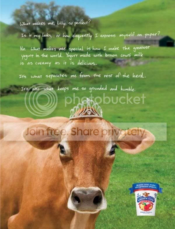 cow.jpg